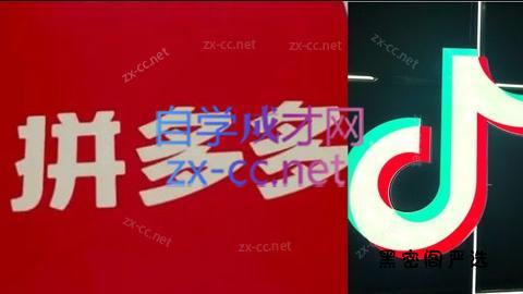 老陶电商·拼多多+抖音小店无货源开店(更新11月)-HeiMiGe