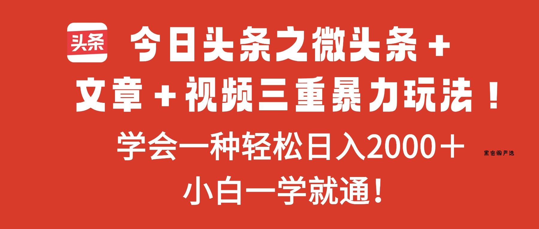 今日头条之微头条＋文章＋视频三重暴力玩法，学会一种轻松日入2000＋，...-HeiMiGe