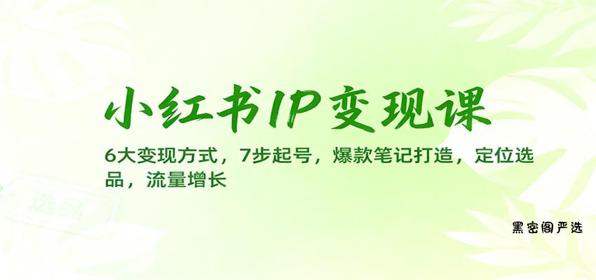 小红书IP变现课:6大变现方式,7步起号,爆款笔记打造,定位选品,流量增长-HeiMiGe