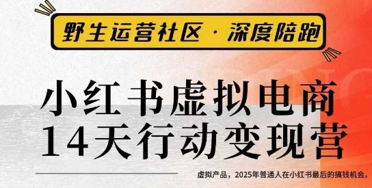 小红书虚拟电商14天变现训练营3.0，​虚拟产品，2025年普通人在小红书最后的搞钱机会-HeiMiGe