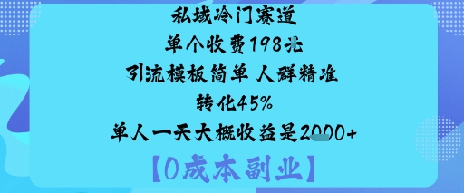 私域冷门赛道:单个收费198米引流模板简单人群精准转化45%单人一天大概收益是1k+-HeiMiGe
