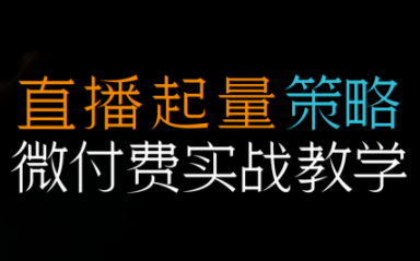 半野老师·直播带货起量与微付费必学课视频号-黑密阁