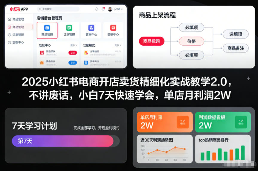 2025小红书电商开店卖货精细化实战教学2.0，不讲废话，小白7天快速学会，单店月利润2W-黑密阁