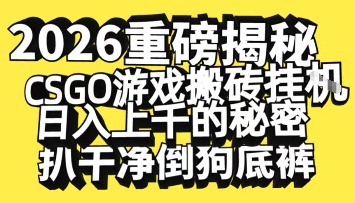 2026开年重磅解密，CSGO游戏搬砖挂G日入1k+的秘密，把倒狗的底裤扒干【揭秘】-黑密阁