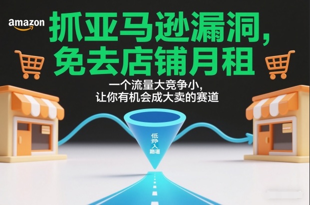 抓亚马逊漏洞，免去店铺月租，一个流量大竞争小，让你有机会成大卖的赛道-黑密阁