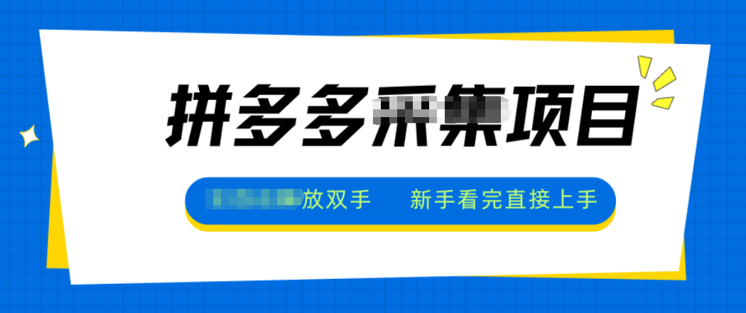 拼多多电商采集，一小时50+，操作简单，零投资-黑密阁