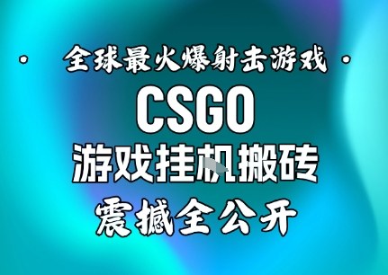 【年底大揭秘】基于全球最火爆的射击CSGO游戏挂G搬砖，日入5张+，震撼公开-黑密阁