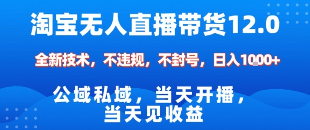 淘宝无人直播12.0，公域私域技术，不封号，不违规布局双十一流量风口，日入1k(独家技术)【揭秘】-黑密阁