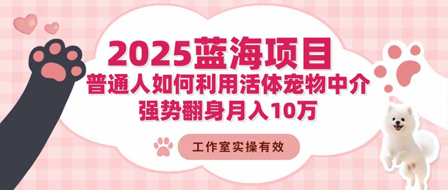 2025蓝海项目:普通人如何利用活体宠物中介,强势翻身月入10万-黑密阁