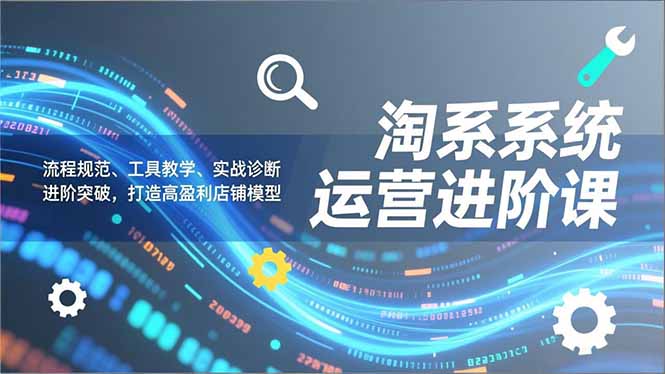 淘系系统运营进阶课2.0，流程规范、工具教学、实战诊断，进阶突破，打造高盈利店铺模型-黑密阁