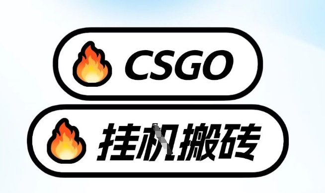 真全网独家CSGO挂G，最新玩法,单日捡漏1K+，不用电脑，不用打游戏【揭秘】-黑密阁