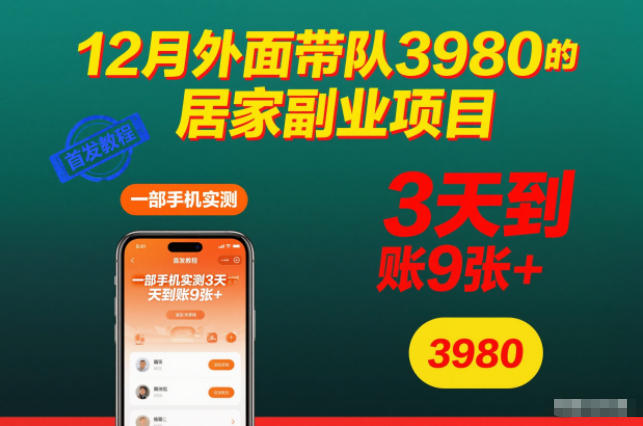 12月外面带队3980的居家副业项目，一部手机实测3天到账9张+，首发教程【揭秘】-黑密阁