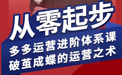 拼多多运营进阶系统课，从零起步，多多运营进阶体系课，破茧成蝶的运营之术(更新9月)-黑密阁