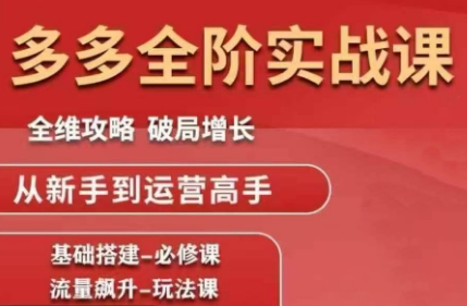 大炮·拼多多全阶实战课程(更新2026)-黑密阁