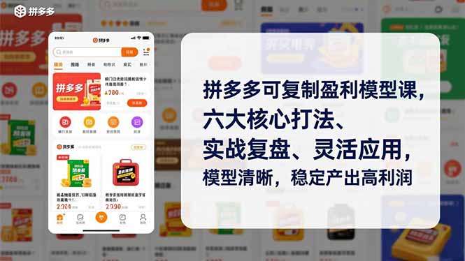 拼多多可复制盈利模型课，六大核心打法、实战复盘、灵活应用，模型清晰，稳定产出高利润-黑密阁