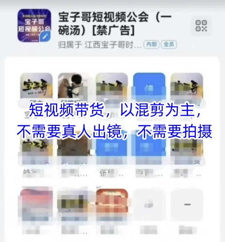宝子哥头部团队短视频带货，以混剪为主，不需要真人出镜，不需要拍摄【更新9月】-黑密阁