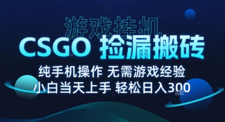 8月最新游戏搬砖，CSGO纯挂G，不需要玩游戏，实现真挂G，月入1W+【揭秘】-黑密阁
