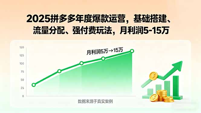 2025拼多多年度爆款运营,基础搭建、流量分配、强付费玩法,月利润5-15万-黑密阁