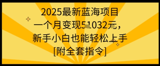 2025最新蓝海项目一个月变现1w+新手小白也能轻松上手【附全套指令】-黑密阁