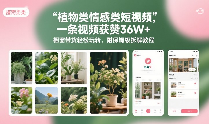 植物类情感类短视频，一条视频获赞36W+，橱窗带货轻松玩转，附保姆级拆解教程-黑密阁